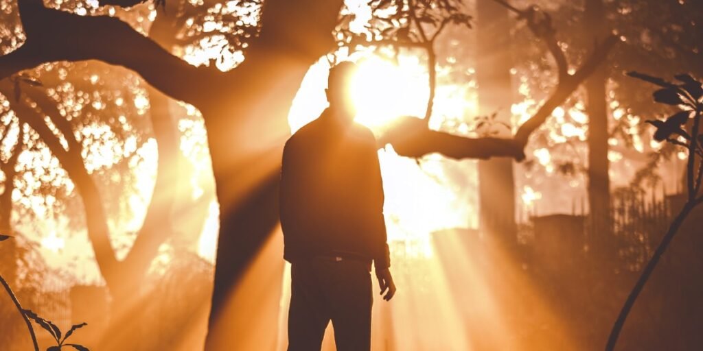 Walk in the Light I Daily Walk Devotion