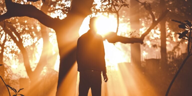 Walk in the Light I Daily Walk Devotion