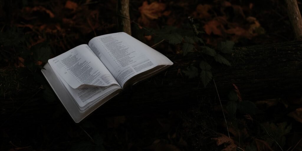 If It Is of God I Daily Walk Devotion