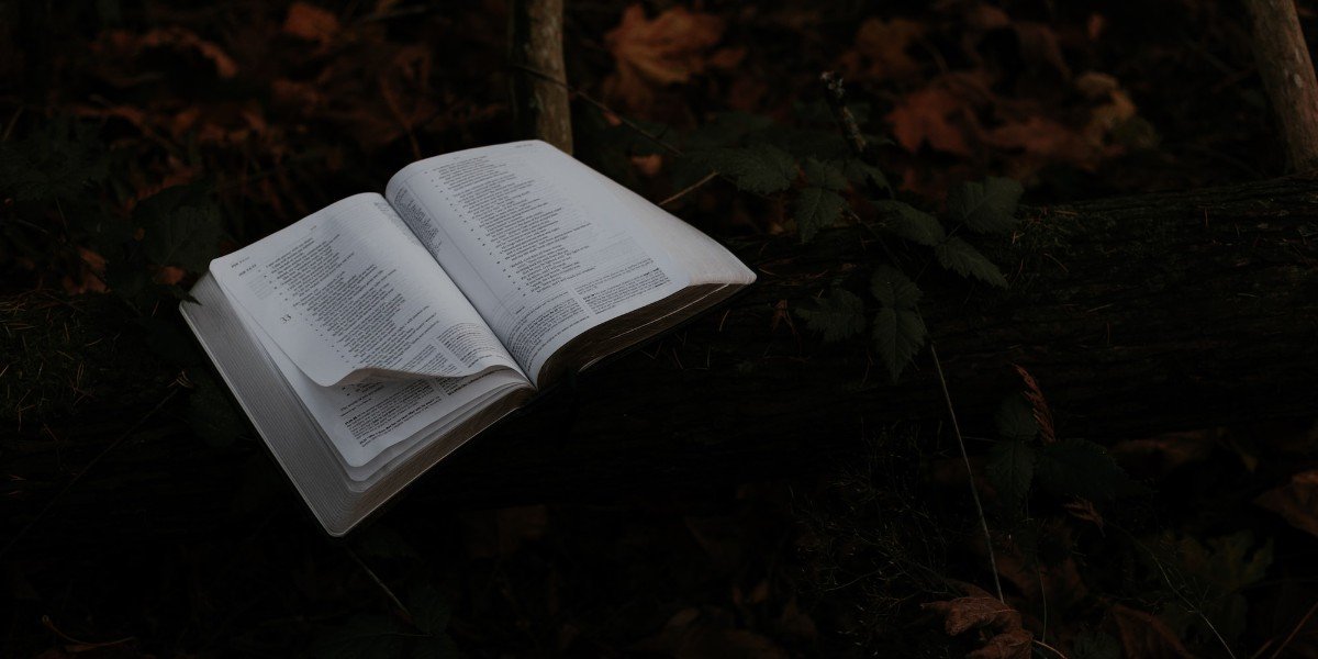 If It Is of God I Daily Walk Devotion