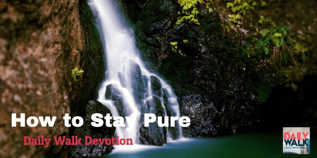 How to Stay Pure I Daily Walk Devotion