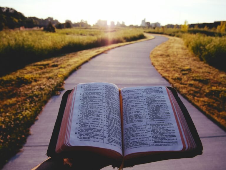 Open Bible on a walking path at sunset for daily devotion.