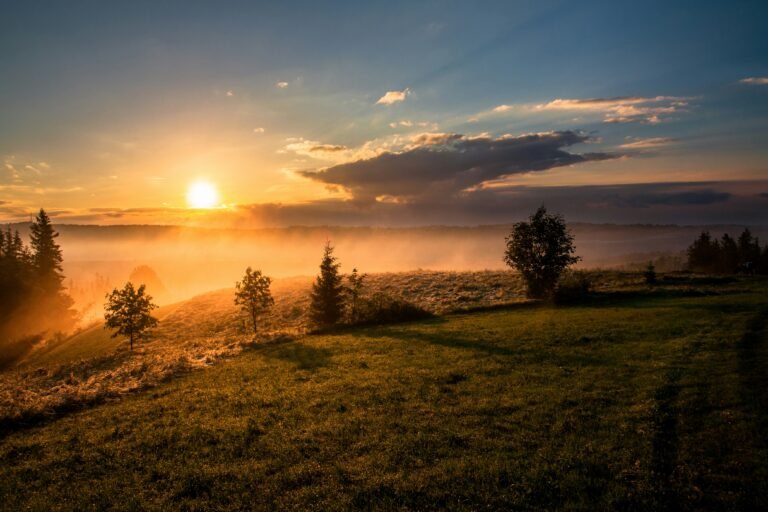 Sunrise over a misty field with scattered trees and rolling hills.