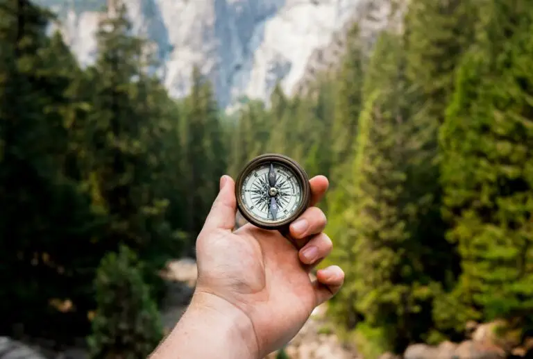 Traveler's hand holds a compass in a forested mountain landscape.